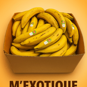 Banane plantin Jaune