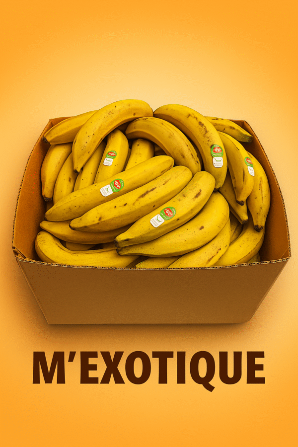 Banane plantin Jaune