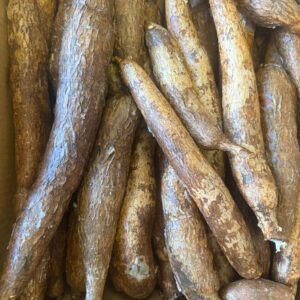 Manioc Frais.
