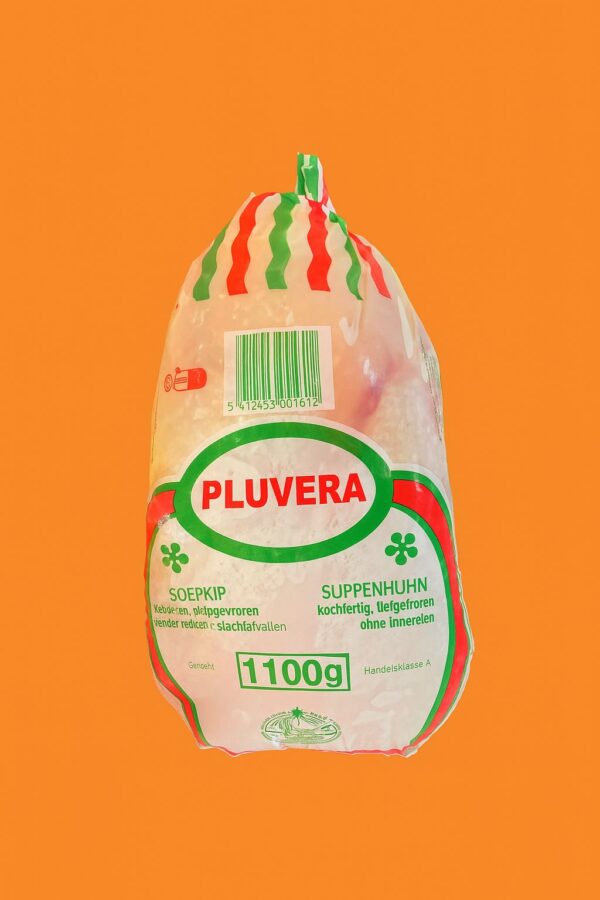 Poule pluvera poids 1.1