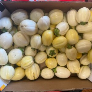 Aubergine d'Afrique
