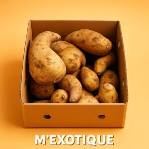 Patate douce peau blanche