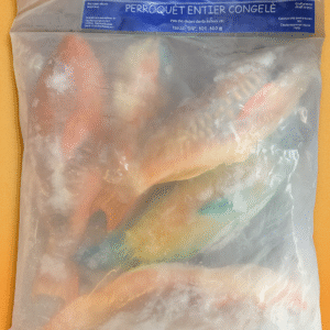 Poisson Perroquet Entier